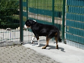 Pension_70