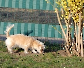 Pension_12