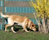 Pension_12