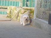Pension_15