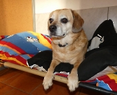 Pension_15
