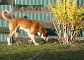 Pension_20