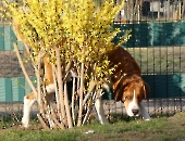 Pension_21