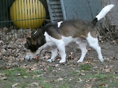 Pension_27