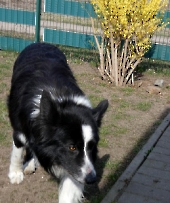 Pension_29