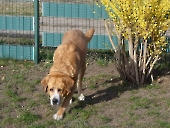Pension_2