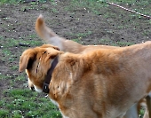 Pension_2