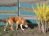 Pension_32