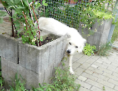 Pension_10