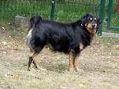 Pension_10