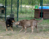 Pension_12