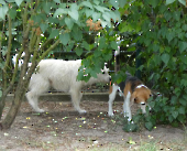Pension_18
