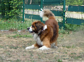 Pension_25