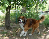 Pension_28