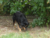 Pension_28