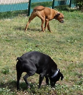 Pension_2