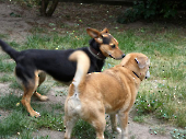 Pension_2