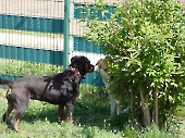 Pension_31