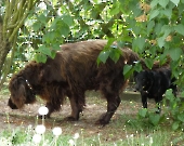 Pension_33
