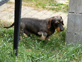 Pension_41