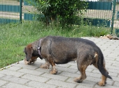 Pension_45