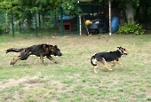 Pension_48