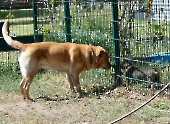 Pension_54
