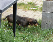 Pension_64