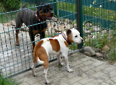 Pension_72