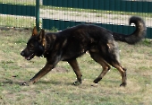 Pension_7