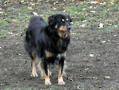 Pension_12