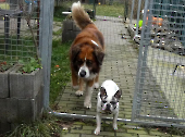 Pension_22