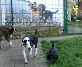 Pension_29