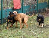 Pension_2