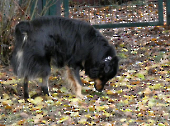 Pension_57