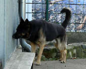 Pension_11