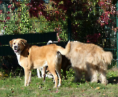 Pension_25