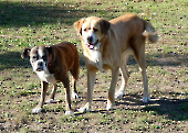 Pension_28