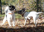 Pension_2