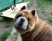 Pension_3