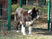 Pension_43