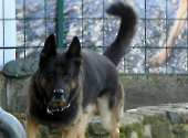 Pension_44