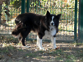 Pension_46