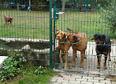 Pension_47