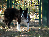 Pension_47