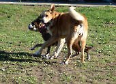 Pension_4