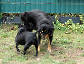 Pension_62