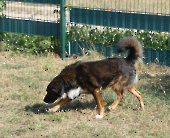 Pension_10