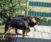 Pension_11