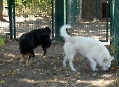 Pension_19